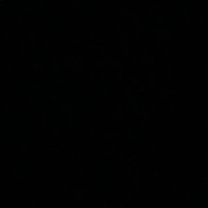 Meet your Posher, Coraye